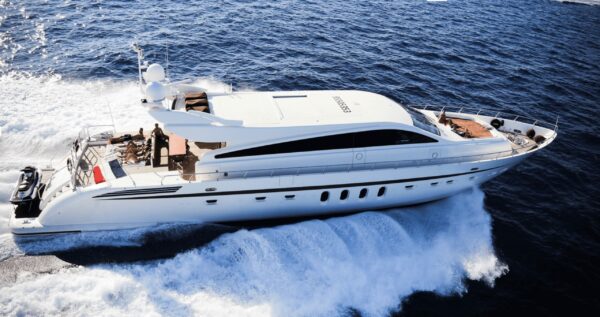 LEOPARD 31 - Image 2